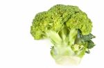 Fresh Broccoli Stock Photo