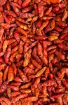 Piri Piri Background Stock Photo