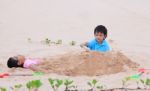 Young Brothers Play On Beach Stock Photo