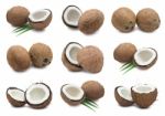 Coconuts Stock Photo