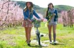 Two Beautiful Young Women With A Vintage Bike In The Field Stock Photo