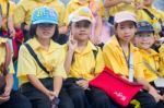 Primary Students Visit The Zoo, In The Jul 27, 2016. Bangkok Thailand Stock Photo