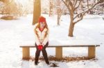 Beautiful Young Woman In The Winter Stock Photo