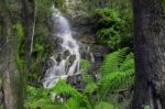 Waterfall In Cradle Mountain Stock Photo