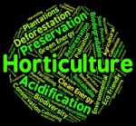 Horticulture Word Represents Flower Garden And Agricultural Stock Photo