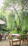 Outdoor Wooden Chair In The Garden Stock Photo