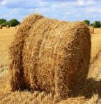 Straw Bales Stock Photo