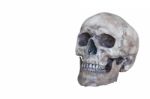 Human Skull Isolate On White Background Stock Photo