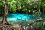 Unseen Blue Pool In Forest Stock Photo