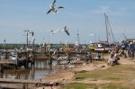 People Enjoying Fish Chips In Southwold Stock Photo