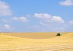 Harvest Time Stock Photo