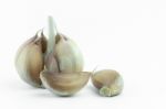 Garlic Isolated On White Background Stock Photo