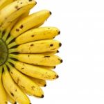 Bananas Stock Photo