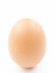 Egg Stock Photo