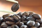 Coffee Beans Stock Photo