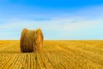 Straw Bale Stock Photo