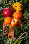 Christmas Fruits Stock Photo