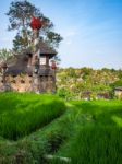 Old Building In Indonesian Rice Field Stock Photo