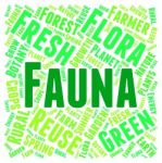 Fauna Word Meaning Animal Life And Zoology Stock Photo