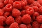 Raspberries Stock Photo