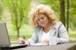 Business Lady Using Laptop In Park Stock Photo