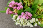 Many Types Of Flowers For Sale Along The Way Stock Photo