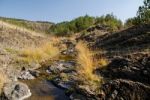 A Stream In Autumn Stock Photo