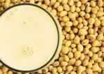 Soymilk With Soybeans Stock Photo