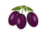 Plums Stock Photo