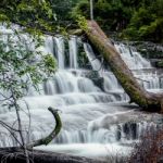 Liffey Falls In The Midlands Region, Tasmania Stock Photo