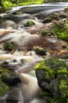 Newell Creek In Tasmania Stock Photo