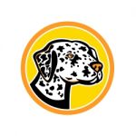 Dalmatian Dog Mascot Stock Photo