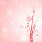 Background Floral Indicates Bloom Abstract And Petals Stock Photo