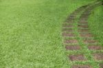 Pathway In The Green Grass Lawn Stock Photo