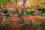 Red Maple Tree On Enkoji Temple Garden In Kyoto Stock Photo