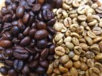 Focus 2 Colors Coffee Bean Stock Photo