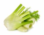 Fresh Fennel Isolated On The White Background Stock Photo