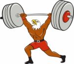 Bald Eagle Weightlifter Lifting Barbell Cartoon Stock Photo