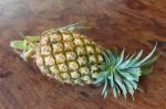 Pineapple Stock Photo