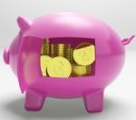 Currency Coins Piggy Shows Savings And Investment Stock Photo