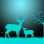 Deer Wildlife Indicates Night Time And Darkness Stock Photo