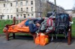 Homeless Man In Edinburgh Stock Photo