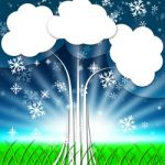 Tree Background Shows Snowflakes Snowing And Winter
 Stock Photo