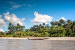 Amazonian Rainforest. Napo River. Ecuador Stock Photo