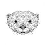 Asian Small-clawed Otter Head Drawing Stock Photo