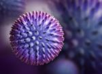 Influenza Virus Stock Photo