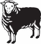 Sheep Side View Woodcut Stock Photo