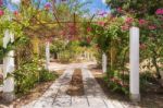 Picturesque Entrance To The Garden Located Near Ocu In Panama Stock Photo