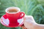 Woman Holds A Red Coffee Cup (vintage Style Color) Stock Photo