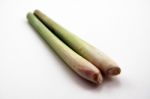 Lemon Grass Stock Photo